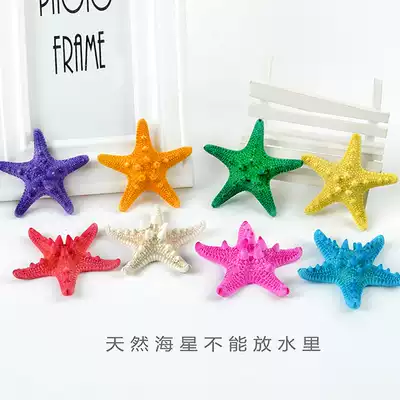 Natural and natural overlord starfish pentagonal starfish shell conch Mediterranean home decoration wall stickers female gift props