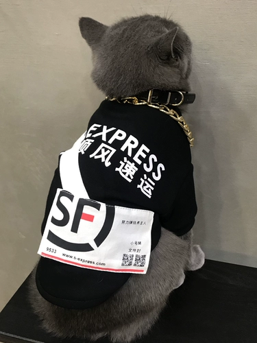 Собаки и кошки, одежда, зимняя тонкая маленькая собачья прилив, домашняя кошка одежда мужская кошка красива