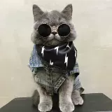 Шарф, слюнявчик, аксессуар, милый нагрудник