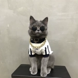 Кошачья одежда маленькая собака бишон питомец осень и зимняя одежда голубая кошачь