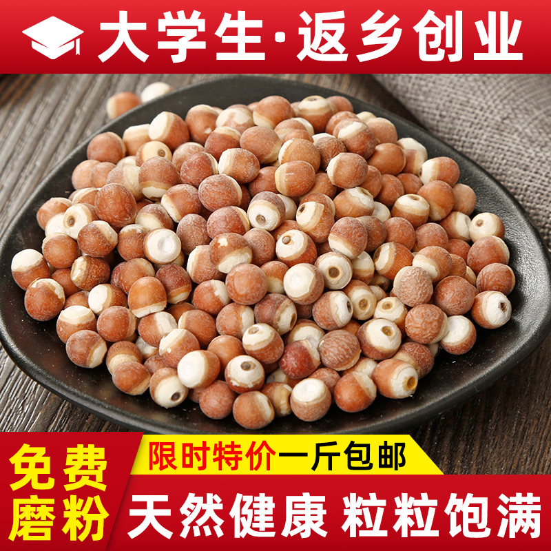 2022 Fresh Chickens Head Rice Guangdong Zhaoqing Gorgon Fruit Dry Goods 500g Self-produced Grade owes a catty of raw fruit