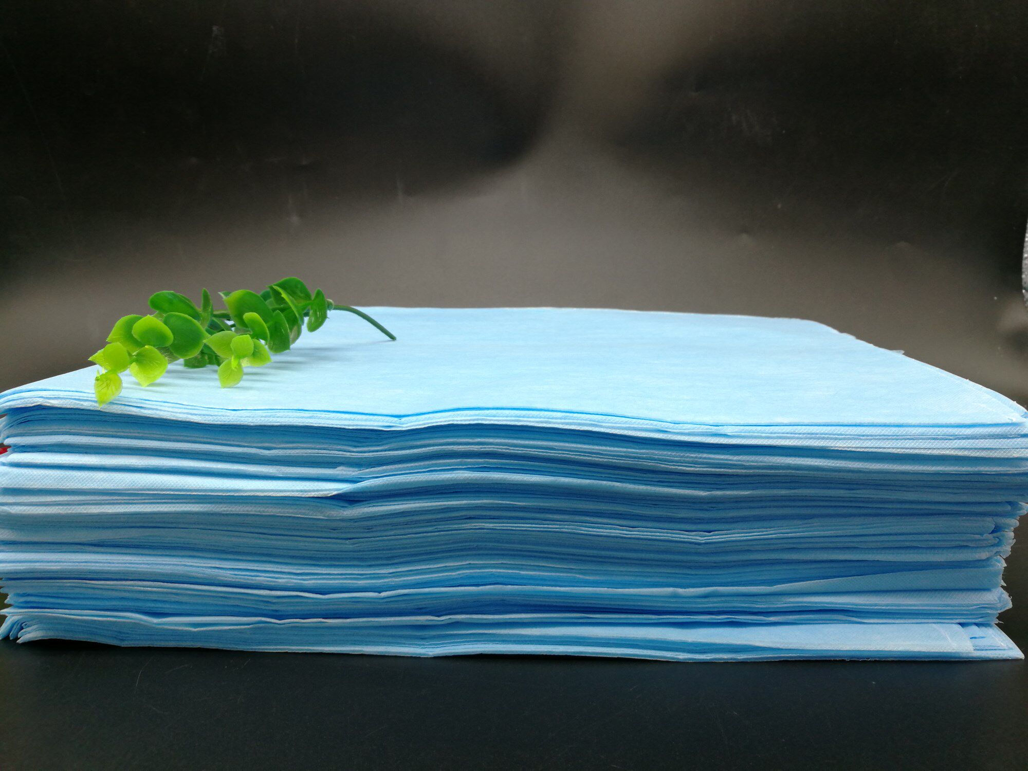 Disposable Sheet Blue Thickened Oil-Repellent Waterproof Massage Medical Beauty Sheet 80 170