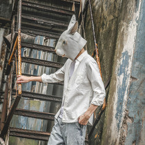 LMTNZD spring and summer simple solid color long sleeve shirt mens Korean version of the trend Oxford spinning cotton slim white shirt