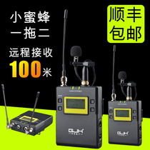 gjk UWM-D12 One for two Bee outdoor street interview wireless microphone dv SLR recording microphone