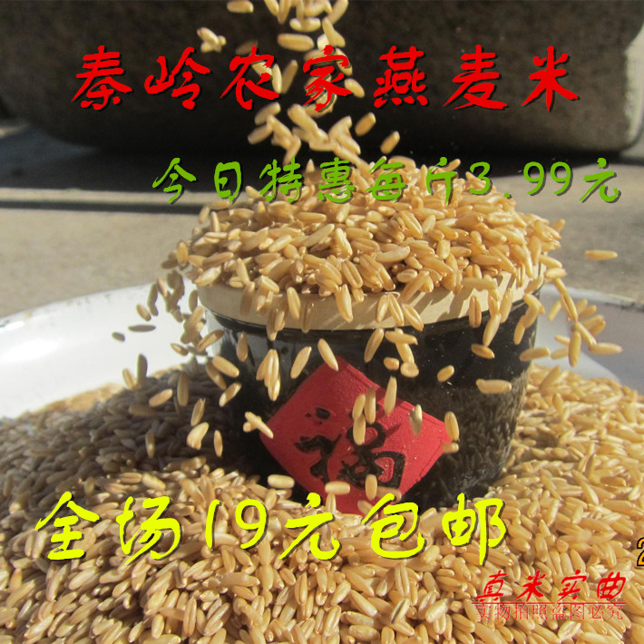 Farmers produce oat rice, oat kernels, high quality oatmeal grains, wheat grains, wild wheat grains