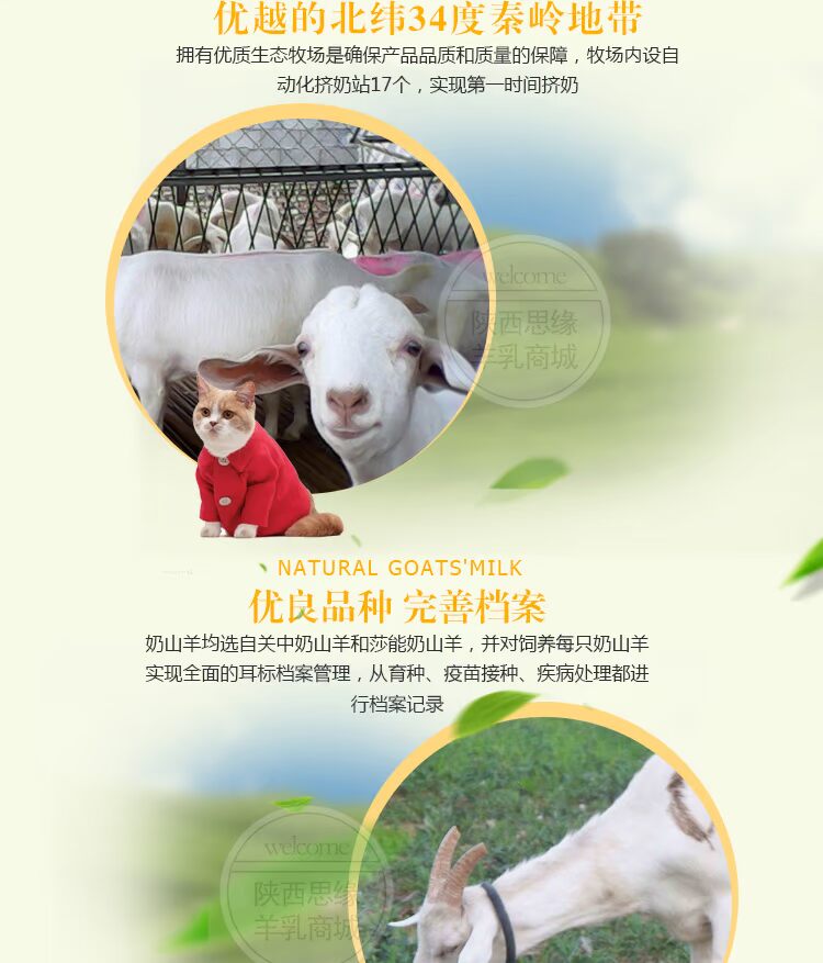 Tất cả mọi thứ Cheung sản phẩm y tế con chó cưng cừu sữa dinh dưỡng canxi sữa bột sữa bột bột puppy vàng mèo Teddy sữa mèo