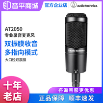 Audio Technica AT2050 Capacitive Recording Microphone Professional Recording Microphone