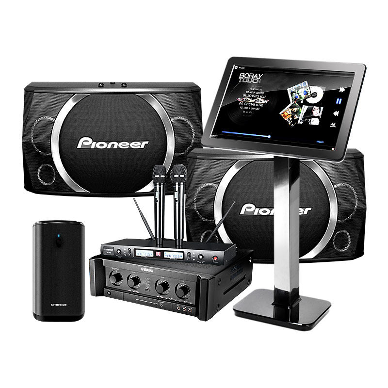 pioneer karaoke speakers