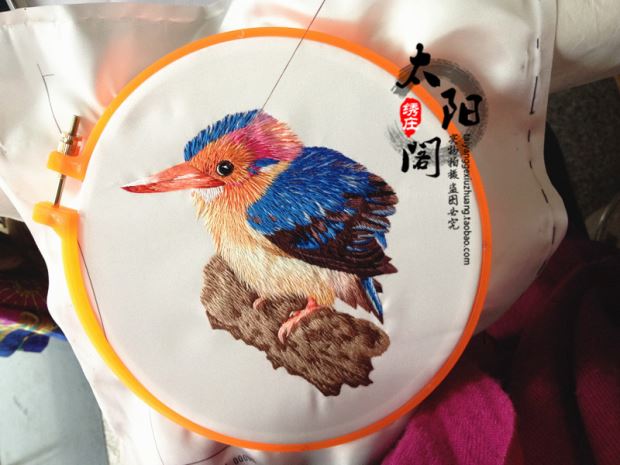 Phổ biến thêu Tô Châu bộ dụng cụ DIY mới bắt đầu 20 * 20 thêu tay thêu khâu quét một loạt các loài chim, động vật - Bộ dụng cụ thêu tranh thêu tay xq