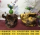 Bàn trà khắc vàng Golden rễ Bàn trà rễ Jinsi Nanmu toàn bộ rễ cây trà biển Gà cánh gỗ Kung Fu trà gỗ rắn - Các món ăn khao khát gốc
