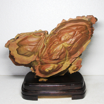 Pine Flower Stone Chiishi Mao Stone Original Stone Pure Natural Ornamental Stone Maple Leaf Red Wood Grain Zodiac Chicken Grand Italian