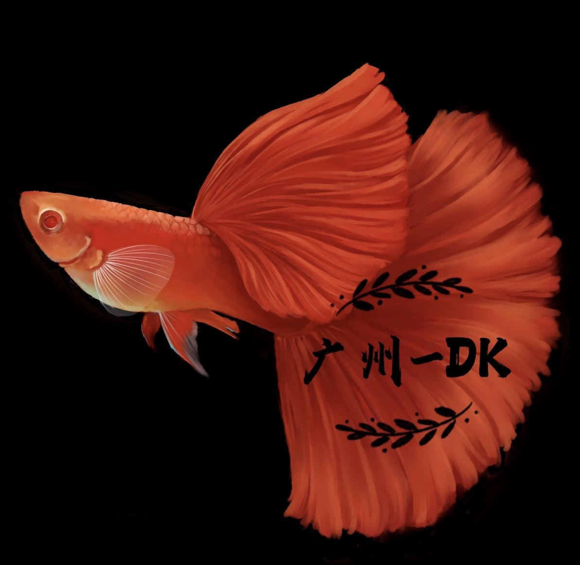广州DK孔雀鱼精品店的LOGO