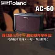 [乐音 国 国 国] Loa âm thanh nổi Roland AC-60 Rose Wood AC60 - Loa loa