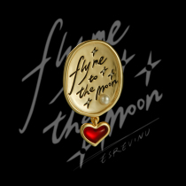 Cosmic tick Fly me to the moon brooch-In other Words I Love You