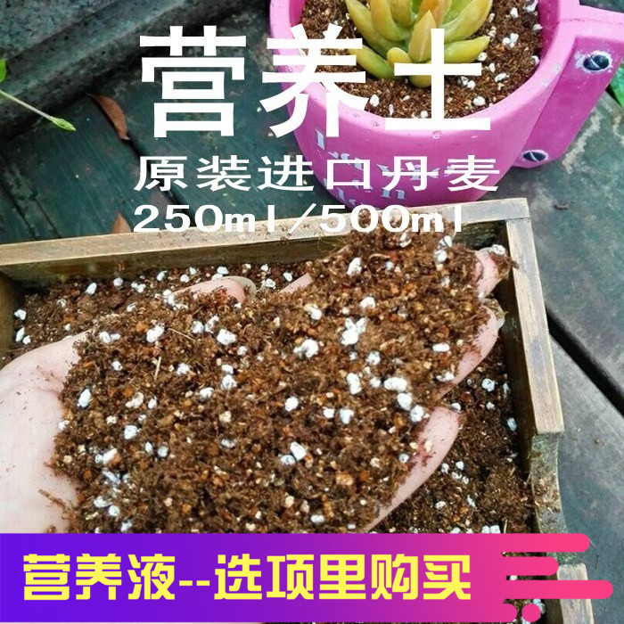 MiMiHome Denmark Multi-meat potted nursery Horticultural Flower Nutritious Earth Green Planting Hot Pin