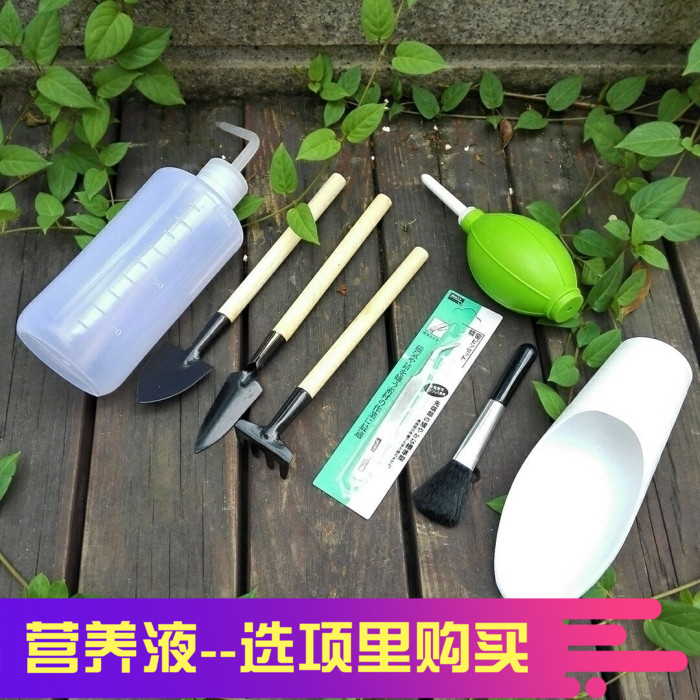 MiMiHome succulent planting tool set gardening flower combination flower potted three-piece shovel hot sale