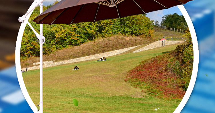 J-Imported Banana Umbrella_02.jpg