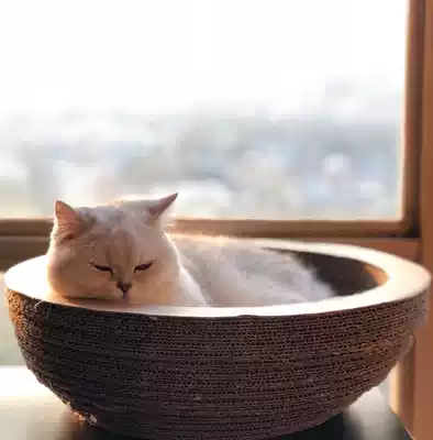 The difference deposit order is abnormal