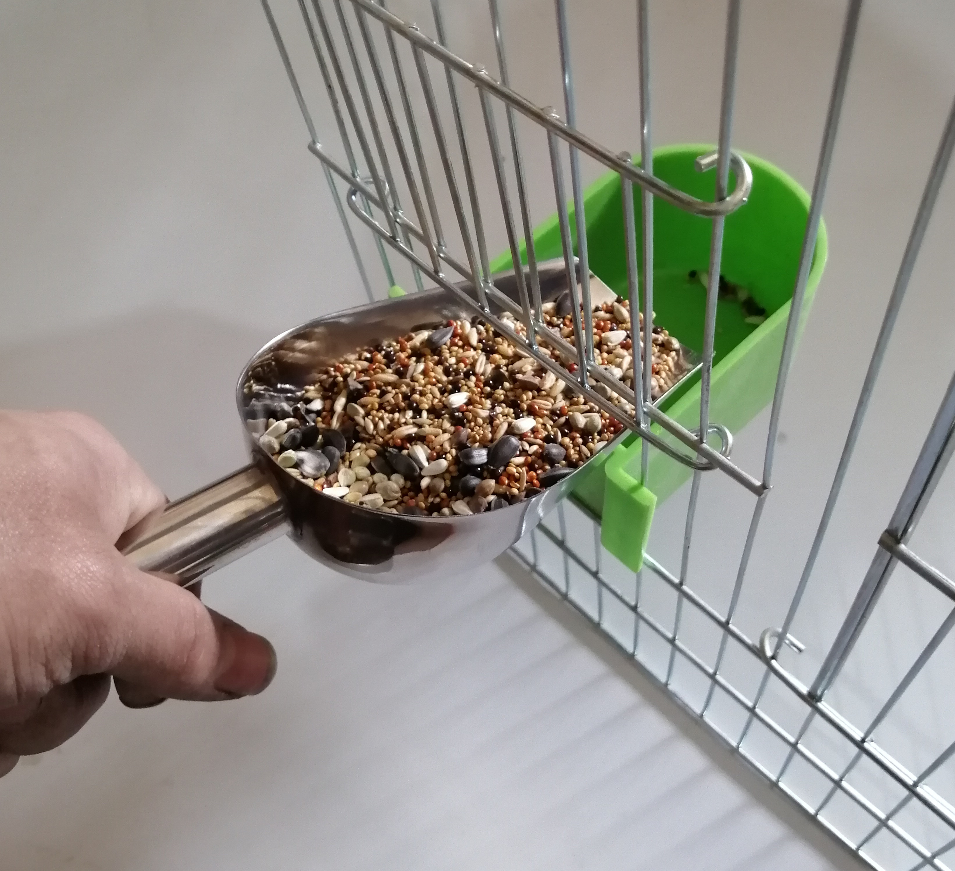 Chim bằng thép không gỉ cho ăn thiết bị vật nuôi cung cấp sao biển anh em họ vẹt trung chuyển chim lồng phụ kiện thức ăn cho ăn - Chim & Chăm sóc chim Supplies lồng vẹt