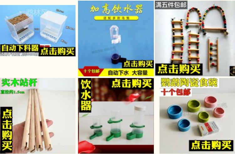 Chim và chim với nước uống tự động rầy vẹt chim vẹt bát chống nước tưới chai nước cung cấp chim - Chim & Chăm sóc chim Supplies lồng chim sắt