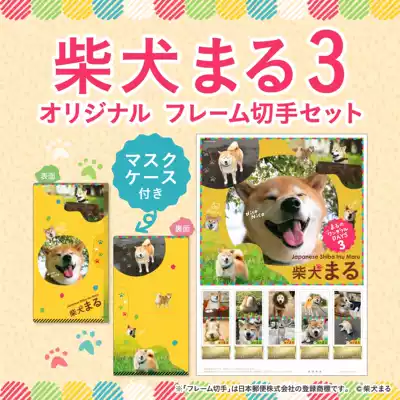 (Spot) Japanese stamp Instagram Net Red pet dog Shiba dog Maru refused dog does not want to walk