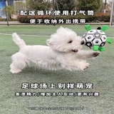 Футбольная интерактивная игрушка, прыгучий мяч, домашний питомец, избавление от скуки