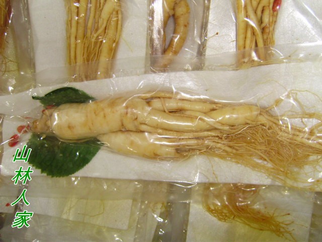 Mountain forest home Changbai Mountain preservation ginseng Ginseng Ginseng Special price RMB99  3 branches