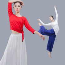 Classical dance practice suit irregular modern dance uniform adult examination female body yoga folk dance dance suit