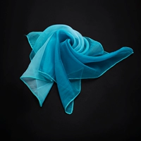 48*48 дней шелка над синим