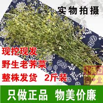 Now Dig in Hubei Wild Fresh Old chestnuts Chestnut Vegetables Flower Boiled Eggs March Three Blossom Chestnuts 2 catties