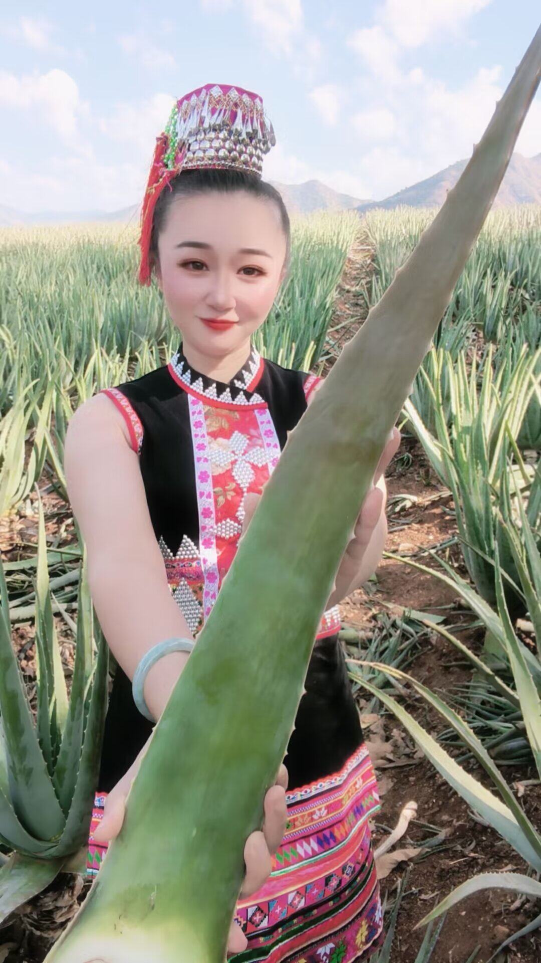 芦荟姑娘