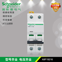 Schneider IC65N 2P D Type 16A(A9F19216)6KA small circuit breaker air switch