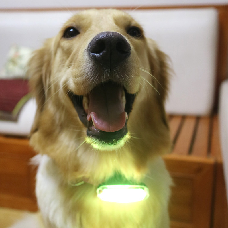 GF Exclusive Six Colors Ten Modes Back Clip Pet Outdoor LED Security Light Anti-lost Waterproof USB Charging