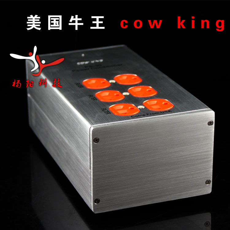 Limited time specials Niuwang PS-30 power filter socket power purifier fever audio power supply
