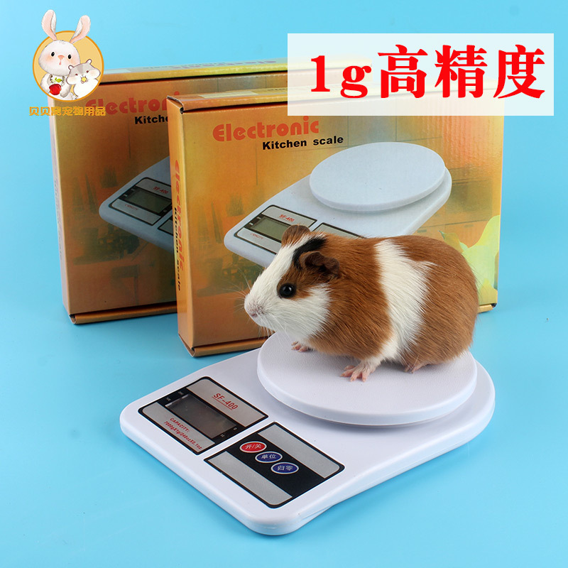Small mini home kitchen electronic scale Precision 1g called Pet Rabbit Dutch Pig Dragon Cat