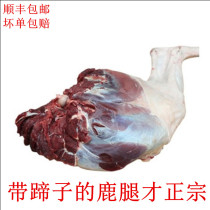  Jilin Sika deer meat fresh deer legs Whole 8 kg free-range ready-to-eat deer ribs venison with hooves Authentic deer legs