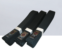 HIROTA Professional Black Belt Made in Japan Hirota Karate Overseas Direct Mail WKF Kumite Competition