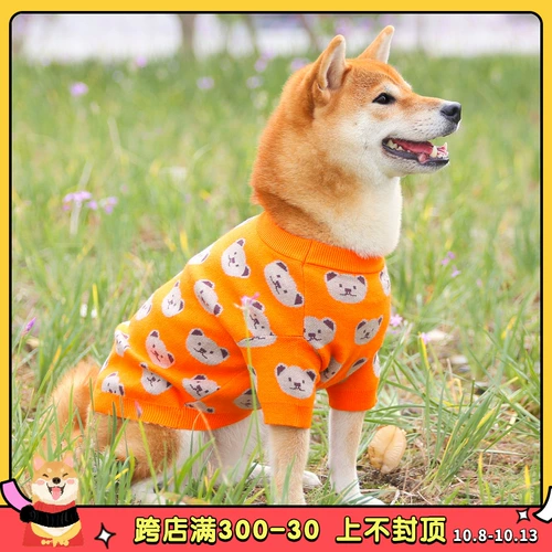 Милый демисезонный свитер, удерживающее тепло трикотажное брендовое термобелье, популярно в интернете