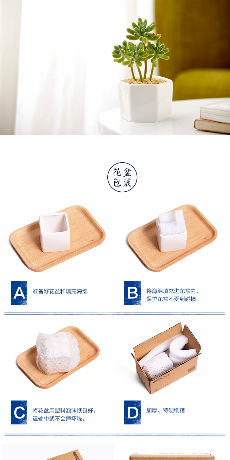 Bộ nồi sứ hình lục giác bằng sứ đặt nồi trắng bằng gốm sứ mọng nước chậu hoa nhỏ đơn giản sáng tạo - Vase / Bồn hoa & Kệ bình cắm hoa thủy tinh