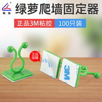 Indoor green plant green Luoluo climbing wall artifact vine wall nylon twist buckle climbing 3m paste industrial grade