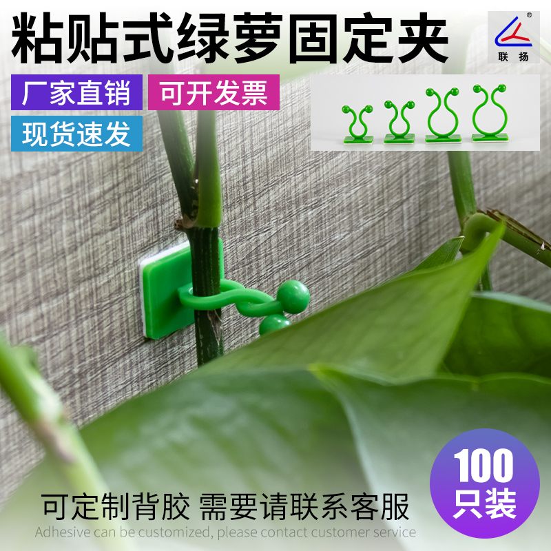Green plant green Luo Lian Yang KL fixed seat climbing wall artifact Home vine wall 3M paste twist buckle climbing
