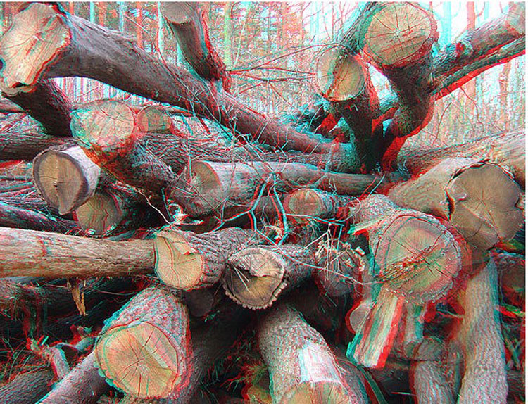 Lunettes 3D - Ref 1242064 Image 14