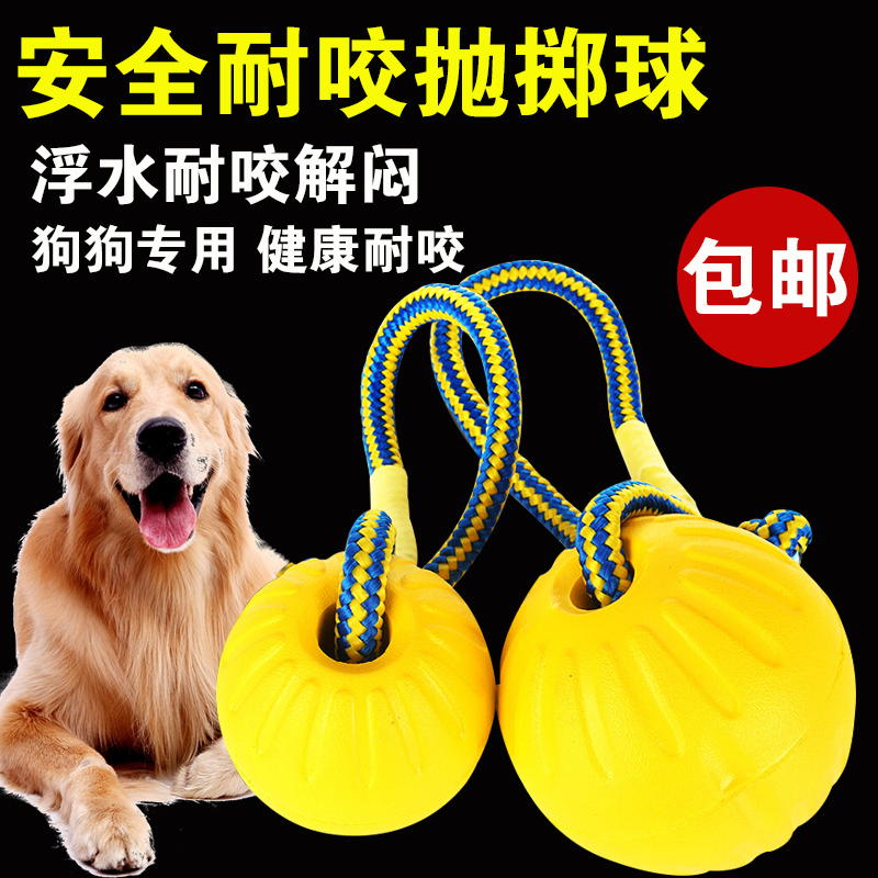 Dog Toy Ball Bite Foam Ball Training Horse Caddle Golden Pet Flash Ball Training Dog Ball