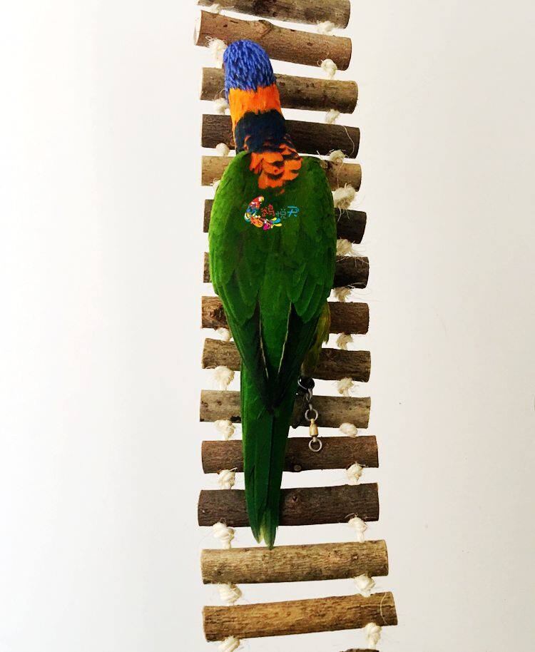 Wu Yue pure natural parrot climbing ladder hemp rope log bird ladder ladder bird cage station accessories