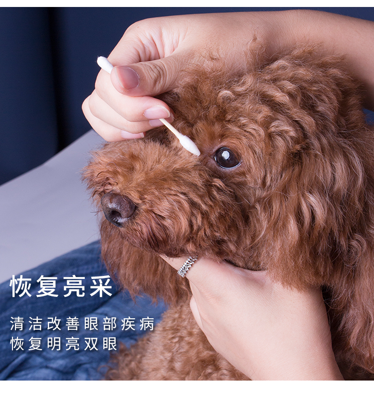 Yi Nuo thuốc nhỏ mắt để nước mắt nhỏ mắt taidi vàng chống viêm mắt mèo rửa vật nuôi - Thuốc nhỏ mắt thuốc nhỏ mắt tobrex