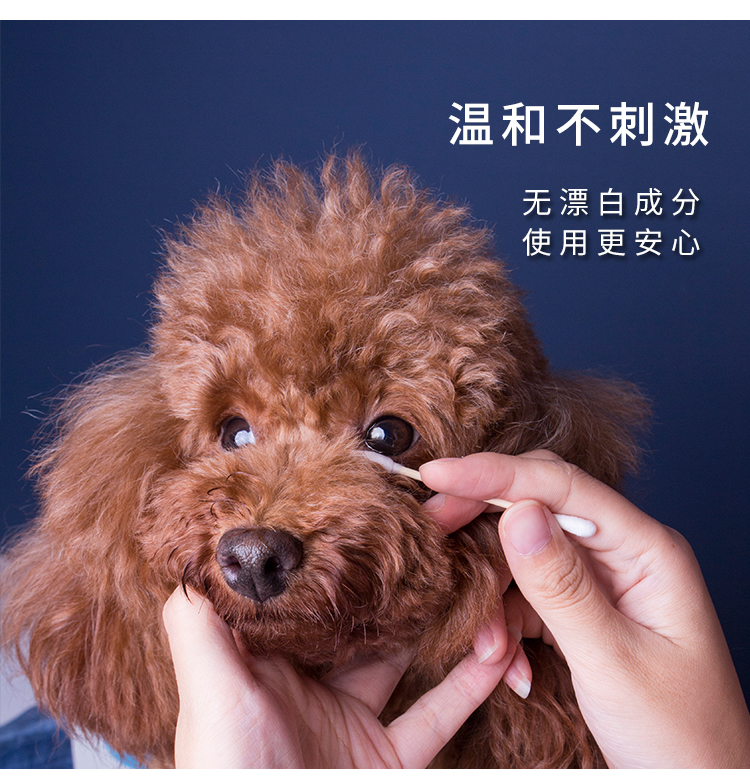 Yi Nuo thuốc nhỏ mắt để nước mắt nhỏ mắt taidi vàng chống viêm mắt mèo rửa vật nuôi - Thuốc nhỏ mắt thuốc nhỏ mắt tobrex