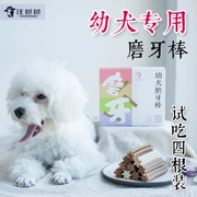 [Cố gắng ăn] Wang Dad - cún con chó con - bốn tải