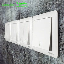 Schneider Changyi White 16a switch air conditioning socket panel 86 household two or three plug USB one open five holes