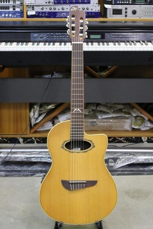 Italian EKO Classical Guitar Electric Box Ultra Slim 39-inch veneer