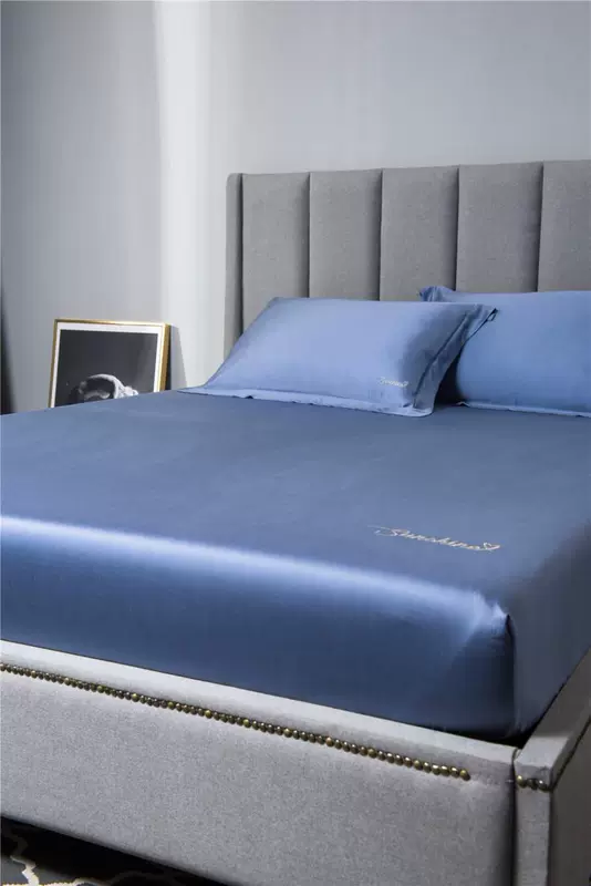 Giường Tencel Bộ ba chiếc gối riêng Bộ giường Tencel mùa hè mát mẻ 60 精 天 - Trang bị Covers ga giường chun